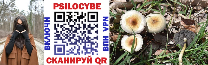 Галлюциногенные грибы мухоморы  Купить закладки  Вяземский 
